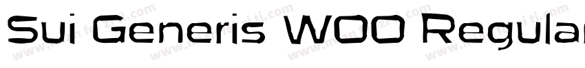 Sui Generis W00 Regular字体转换